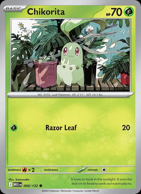 Chikorita